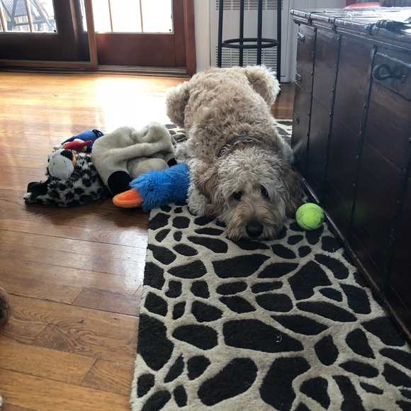 Meet your Posher, Julie.  🖤Sharing is caring🖤 - Picture 7 of 8